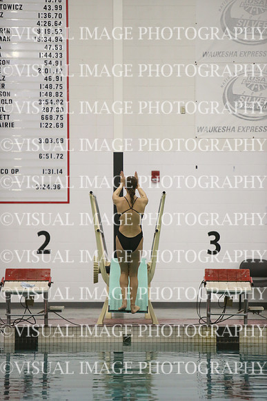 WISWG23_DIVE_20021