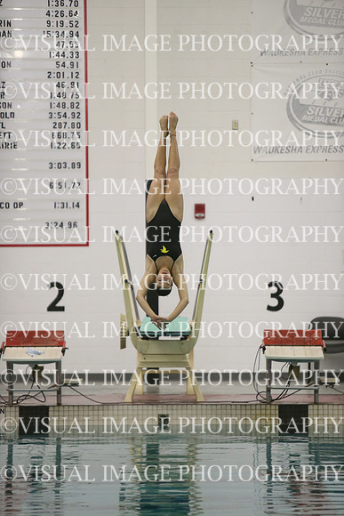 WISWG23_DIVE_20030