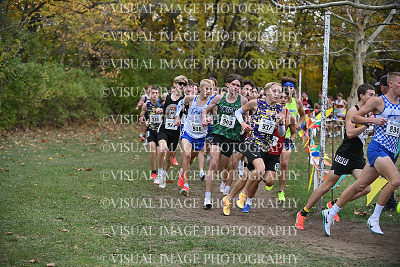 ILXC_25_F10046