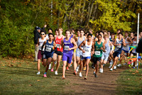 ILXC_25_F30004