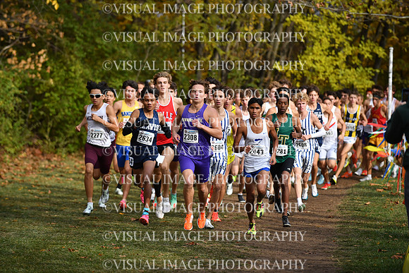 ILXC_25_F30012