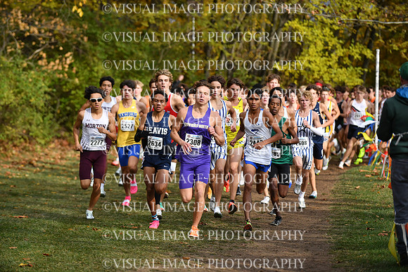ILXC_25_F30018