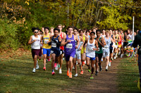 ILXC_25_F30016