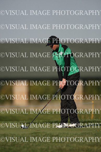 ILGFG_12_I10010