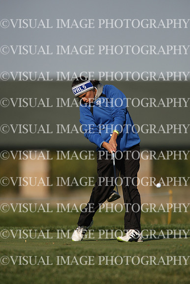 ILGFG_12_I10023