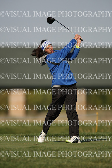 ILGFG_12_I10025