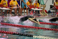WISWG23_SWIM_20006