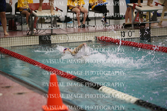 WISWG23_SWIM_20021