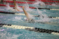 WISWG23_SWIM_20018