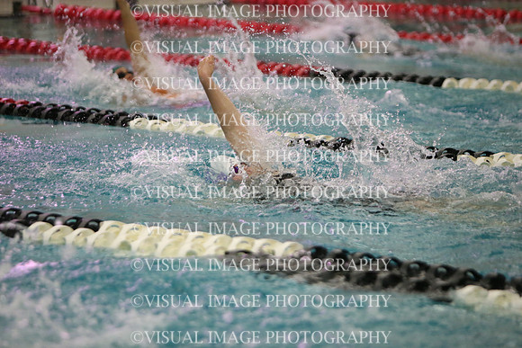 WISWG23_SWIM_20018