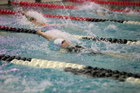 WISWG23_SWIM_20019