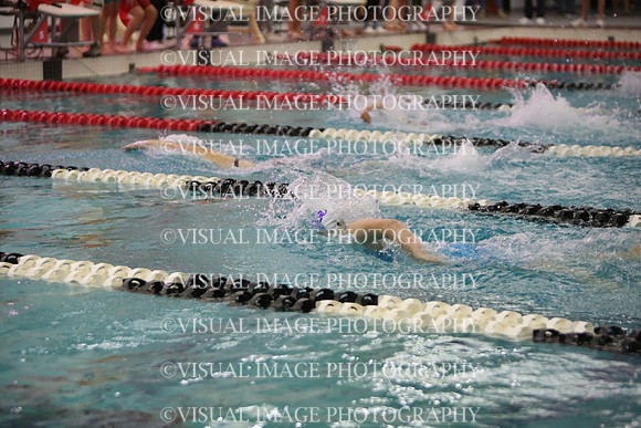 WISWG23_SWIM_20053
