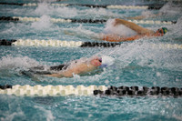 WISWG23_SWIM_20007