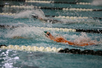 WISWG23_SWIM_20013