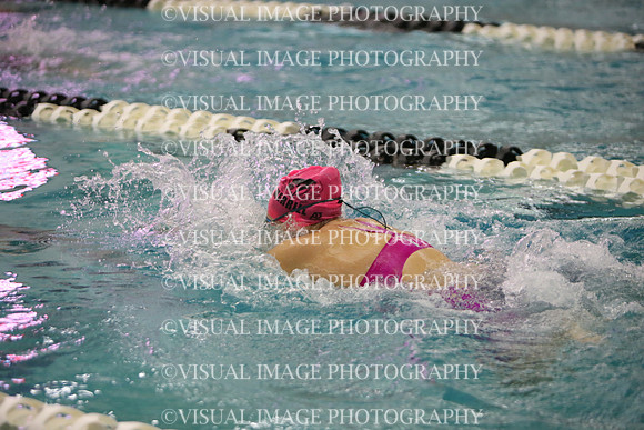 WISWG23_SWIM_20043