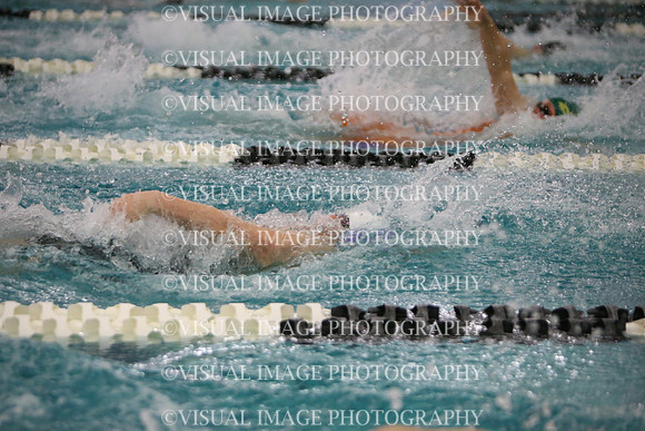 WISWG23_SWIM_20008