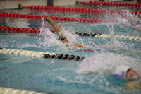 WISWG23_SWIM_20016