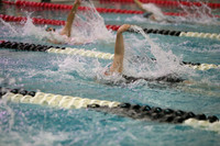 WISWG23_SWIM_20017