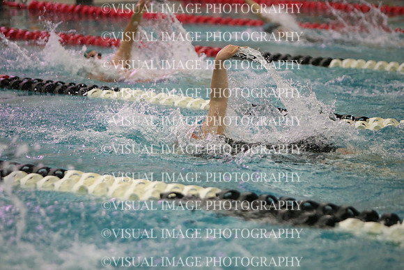 WISWG23_SWIM_20017