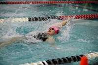 WISWG23_SWIM_20010