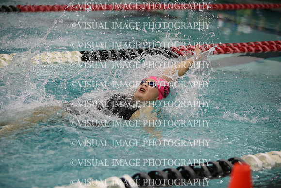 WISWG23_SWIM_20010