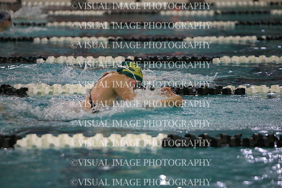 WISWG23_SWIM_20025