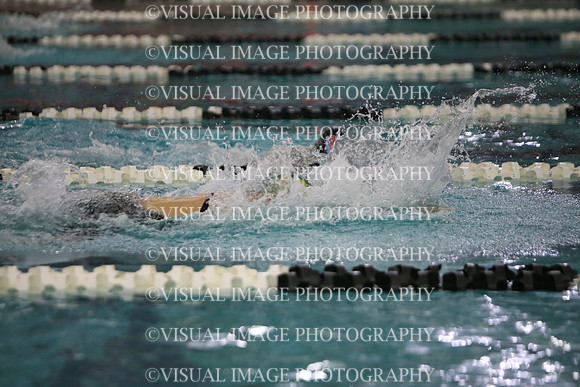 WISWG23_SWIM_20027