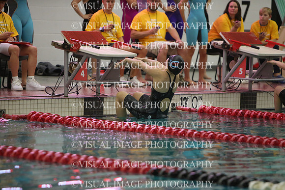 WISWG23_SWIM_20002