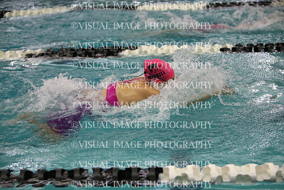 WISWG23_SWIM_20031