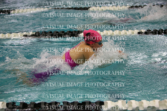 WISWG23_SWIM_20030