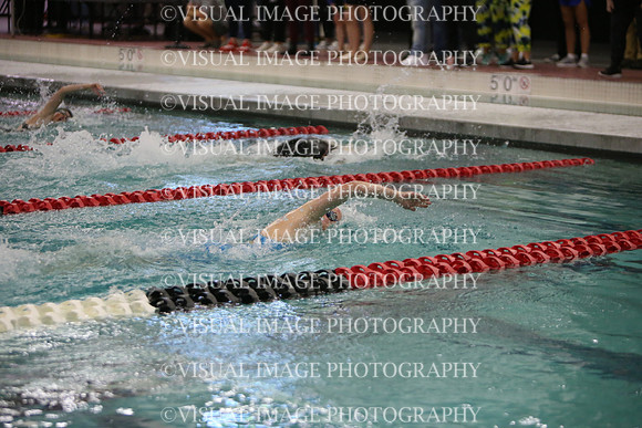 WISWG23_SWIM_20050