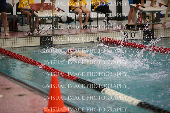 WISWG23_SWIM_20020