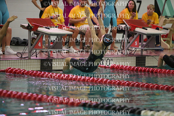 WISWG23_SWIM_20003