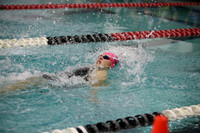 WISWG23_SWIM_20011