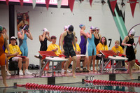 WISWG23_SWIM_20001