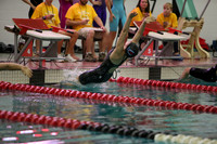 WISWG23_SWIM_20004