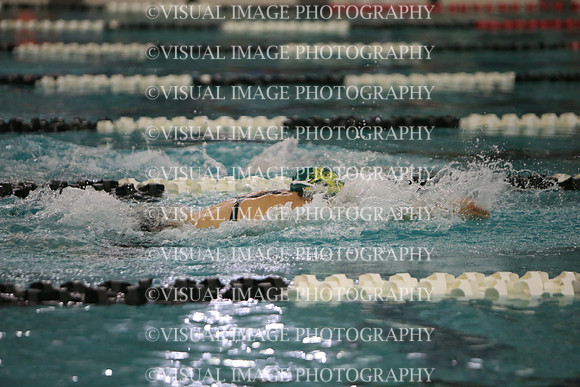 WISWG23_SWIM_20029