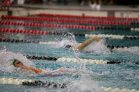 WISWG23_SWIM_20015