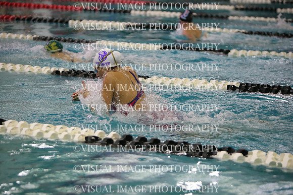 WISWG23_SWIM_20040