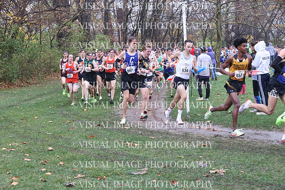 ILXC_22_10031