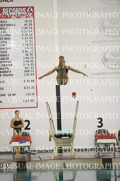 WISWG23_DIVE_10028