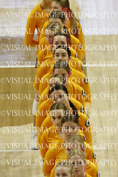 ILVBG_25_S110006