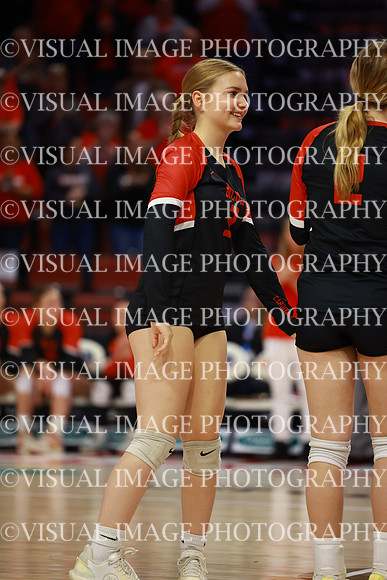 ILVBG_25_S110013