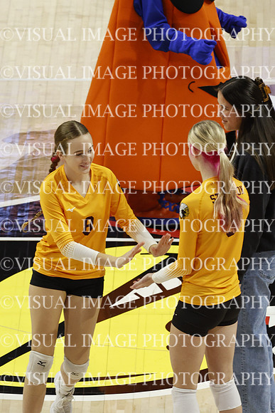 ILVBG_25_S110022