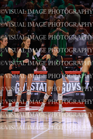 ILVBG_25_S310024