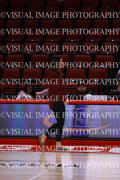 ILVBG_25_S320010