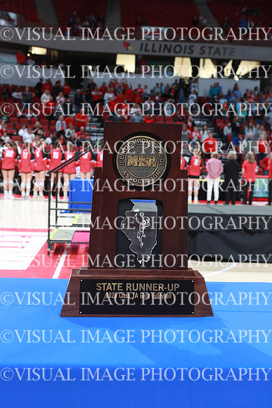 ILVBG_25_A11039