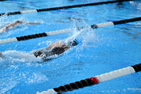 50yd Freestyle