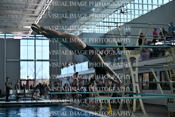 ILSWG25_DIVE_F0024