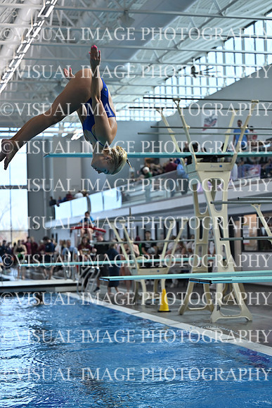 ILSWG25_DIVE_F0027